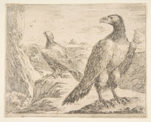 Twee adelaars, uit Adelaars Les aigles, ca. 1651