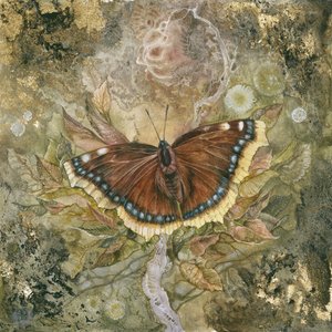  door Stephanie Law