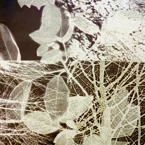Nachtbos, 2018 (digitaal) door Stephen Dow