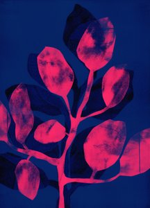 Summer Garden III pink, 2018 (digital) door Stephen Dow