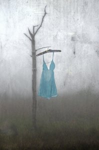 Misty Blue-jurk door Steven Gibson