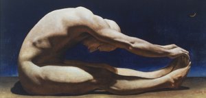 De maan door Steven Skollar