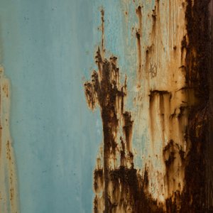 Blauwroestverval door Studio Meikle