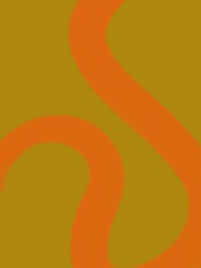 Vloeibare oranje lijnen door Studio Palette