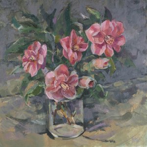 Camelia