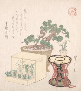 Potted Pine Tree, Drum en Zeven Kruiden Geplant in een Doos, 18e-19e eeuw door Sunayama Gosei