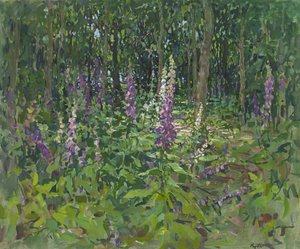 Vingerhoedskruid door Susan Ryder