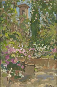 Rozenboog, Languedoc