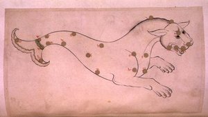 Constellaties: Cetus, de walvis door Suvar Al Kavakib
