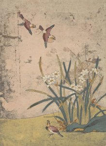 Vogels en narcissen