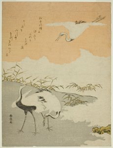 Kraanvogels aan de kust door Suzuki Harunobu