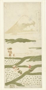 Rijstplanters door Suzuki Harunobu