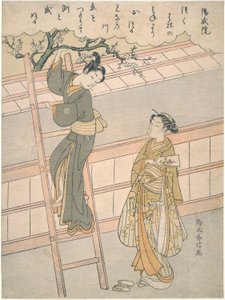 Het begin van de liefde door Suzuki Harunobu
