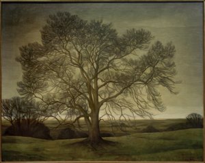 Landschap 1901