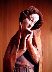 De Maagd