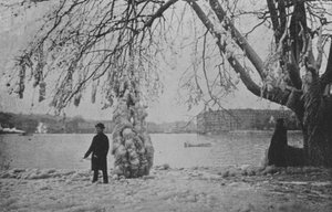 Aux Eaux-Vives in Genève, Winter 1896
