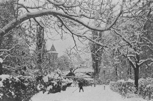 Neuchatel, De Engelse tuin door Swiss Photographer