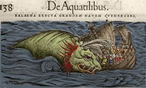 Zee monster valt een schip aan, illustratie uit 