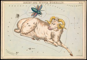 Aries en Musca borealis, c.1825 door Sydney Hall