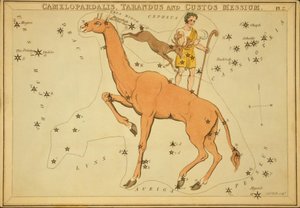 Camelopardalis, Tarandus en Custos Messium, Illustratie uit 