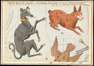 Canis Major. Lepus, Columba Noachi & Cela Sculptoris, ca. 1825 door Sydney Hall