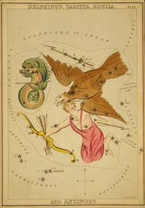Delphinus, Sagitta, Aquila en Antinous, Illustratie uit 