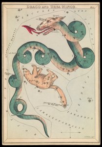 Draco en Ursa Minor