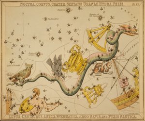 Noctua, Corvus, Crater, Sextans Uraniæ, Hydra, Felis, Lupus, Centaurus, Antlia Pneumatica, Argo Navis, en Pyxis Nautica, Illustratie uit 