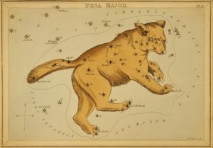 Grote Beer, Illustratie uit 