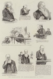 Het verhoor en kruisverhoor van Pigott