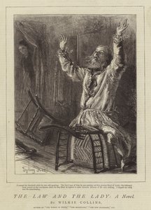 De Wet en de Dame, Een Roman