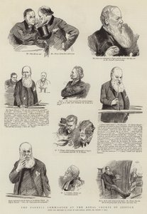 De Parnell Commissie bij de Koninklijke Hoven van Justitie