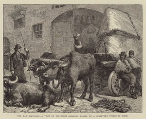 De grondstof, een team van buffels brengt marmer naar een beeldhouwersatelier in Rome