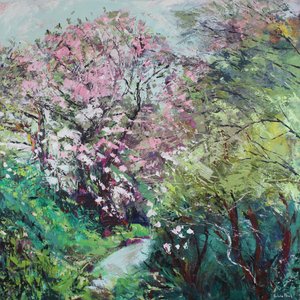 Magnolia Bloesem