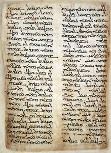 Tekstpagina uit Pentateuch. (Genesis, Exodus, Numeri, Deuteronomium), 464