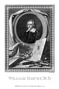 William Harvey, arts, 1777