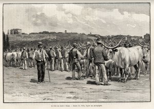 De veemarkt in Siena (Italië). Gravure door Taylor ter illustratie van het verhaal 
