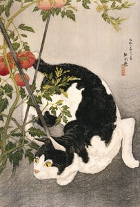 Kat sluipt rond een tomatenplant, 1931