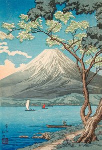 De Fujisan vanaf het Yamanaka-meer
