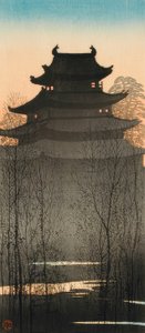 Nagoya kasteel door Takahashi Hiroaki