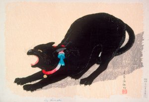 Sissende zwarte kat