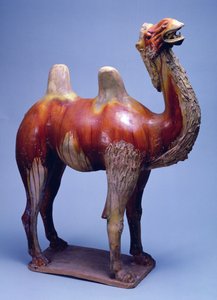 Kameel, Tang-dynastie