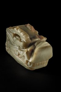 De Junkunc Jade Drakenkop