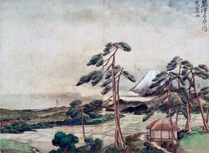 Uitzicht op de kust van Kanagawa
