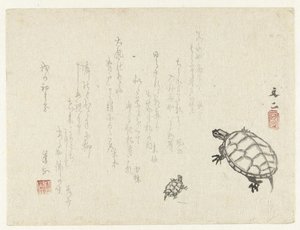 Twee schildpadden door Tani Bunji