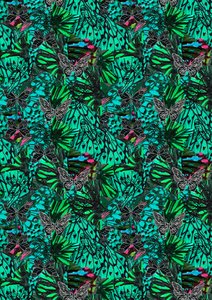 Papillon door Tara Whitehead