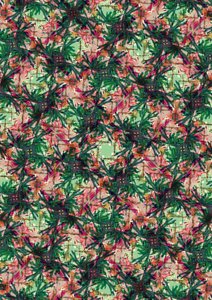 Tropische Palm door Tara Whitehead