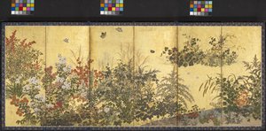 Bloemen En Vlinders