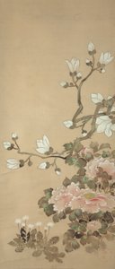 Pioenen, Magnolia en Paardenbloemen