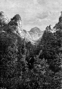 Madeira, Portugal, 1895 door Taylor